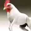 k_ra_r94