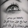 user9037230554818