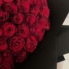 alshaikha.mohamed