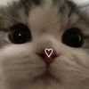 hiiiiiiii1iiii0