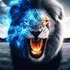 user691817411573265