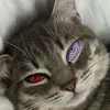vitinkz777