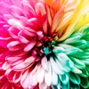 world of colors