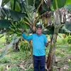 antonio.aparecido943