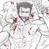 mdx.cc