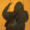 jazsmall51