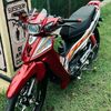 fizr.1233