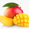 mango22886