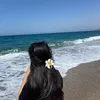 dina.zariah