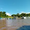 marcelo.antnio286