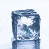 ice.commenter1