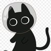 dabal00n_cat