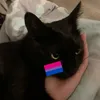 .affssla