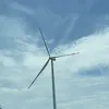 conduongtoinhatban