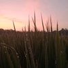 tann.com11