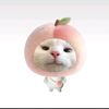 hykim_sunoo