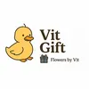 Vịt gift