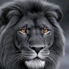 crazimunda1234