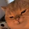 danemcohong7