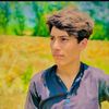 numan.khan8452