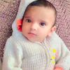 waleedshahid726