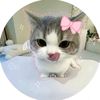 su.su.wai314
