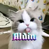 aldin8439