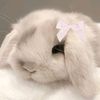 nanouy.lifa