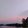 panzz_725