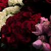 mishkat.fatima21