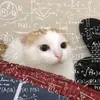 bii211__