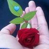 zawminoo2896