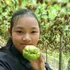 Quỳnh Su Su