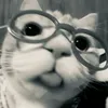 niyeondrama