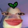 violaolivia_