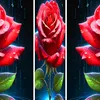 hng.nguyn88351