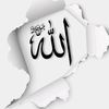 user91252438563030