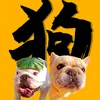 二狗司令