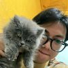 coll_mei
