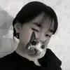 nt_thahthy