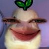 tyta_khff