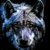 fenrir6642