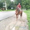 user96744143266817