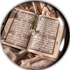 rayanxan224