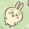 tho_con_usagi