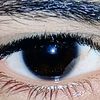 rayan.hamoud83