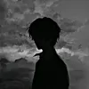 anas_vx511