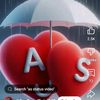 abid.ali1266