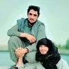 armani.janan939