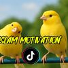 islam_motivation46